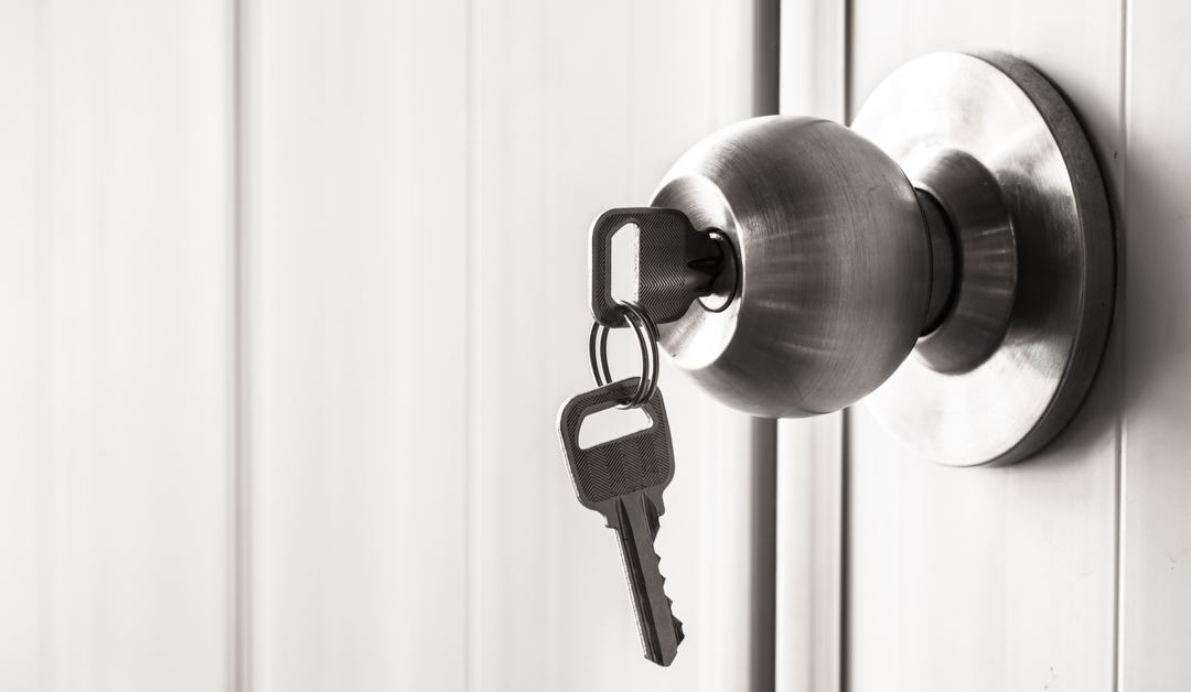 All the Different Types of Locks